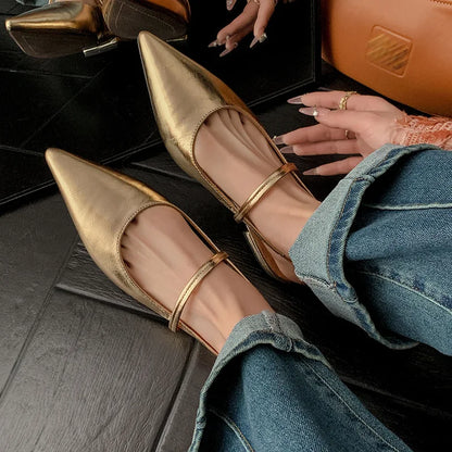 Chic Pointed Toe Flats