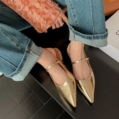 Chic Pointed Toe Flats