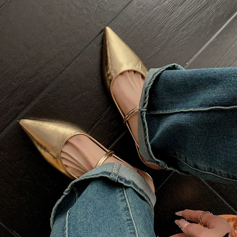 Chic Pointed Toe Flats
