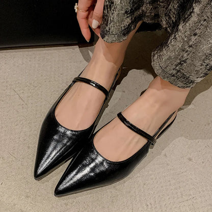 Chic Pointed Toe Flats