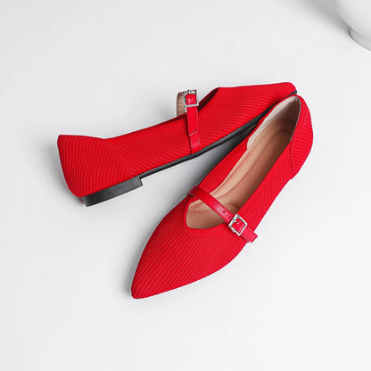 Pointed soft flats for women in various colors
