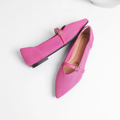 Stylish flat shoes for women with pointed design
